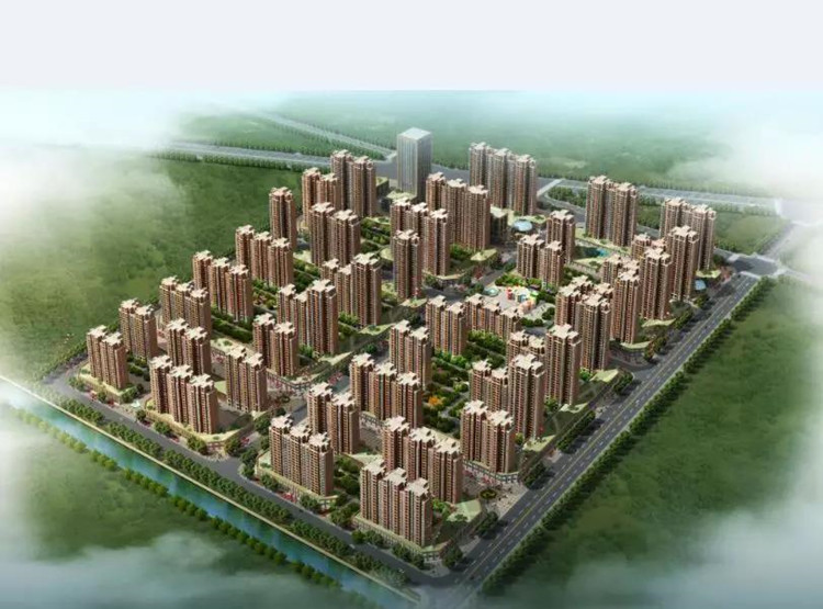15547955807460.jpg 5_副本.jpg